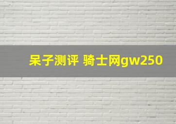 呆子测评 骑士网gw250